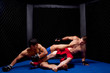 Photo: Mixed martial artists fighting Mixed martial artists fighting