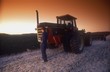 Farmer Standing In The Field