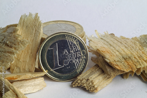 Foto: Holzhackschnitzel mit Euro VI Holzhackschnitzel mit Euro VI