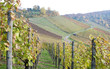Spaziergang