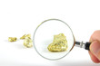 Goldsuche