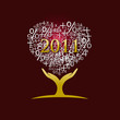 nouvel année 2011