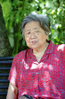 portrait of a grandmother