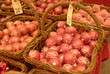 DENMARK_early christmas decorations DENMARK_early christmas decorations