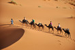 sahara