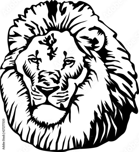 clip art lion head. house white clipart picture lion clip art lion head. Lion head
