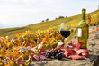 Glass of red wine in Lavaux region, Switzerland