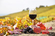 Glass of red wine in Lavaux region, Switzerland