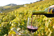 Glass of red wine in Lavaux region, Switzerland