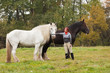 Woman with two shire horses