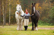 Woman with two shire horses Woman with two shire horses