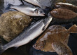 Assortiment de poissons