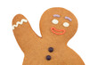 Gingerbread man