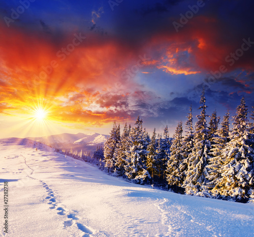 Photo: winter winter