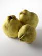 Coings