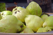 Coings 