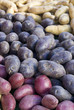 Assortiments de pommes de terre