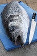 Loup de mer entier