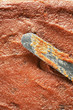 Pâte de coing