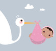 a stork that brings a baby girl