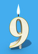 ninth birthday nine candle