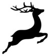 Reindeer Flying