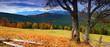 autumn landscape