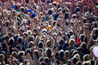 people at festival