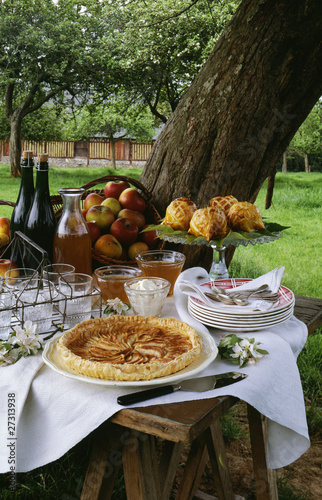 Foto: Set table outdoors Set table outdoors