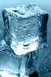 wet ice cubes on black glossy background wet ice cubes on black glossy background