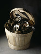 wicker case of oysters