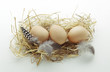 Guinea-fowl eggs