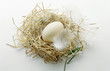 Duck egg