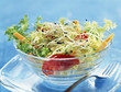 Different types of sprouts salad