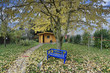 Garten im Herbst mit blauer Gartenbank und Gartengeräten