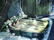 Leek aspic terrine
