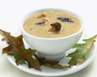 Mushroom soup Mushroom soup