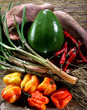 Vegetables from the West Indies