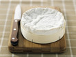 camembert