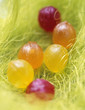 boiled candy in grass