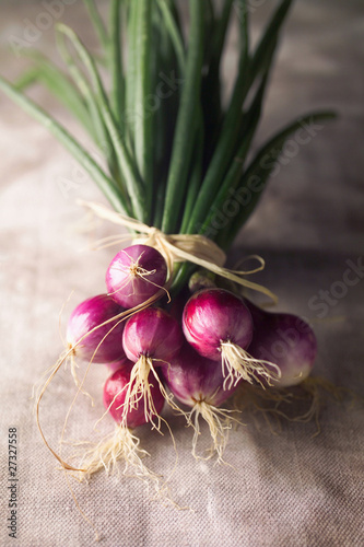 Photo: bunch of red onions bunch of red onions