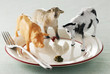 What kind of food is in our plates