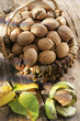 Basket of walnuts