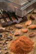 Different forms of cocoa