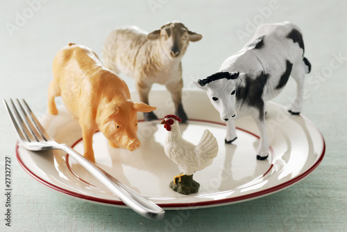 Photo: What kind of food is in our plates What kind of food is in our plates