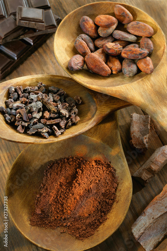 Photo: different formsof cocoa in wooden spoons different formsof cocoa in wooden spoons