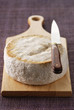 Tomme de Lozère