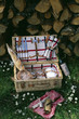 Country picnic