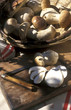 Cep mushrooms