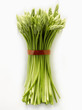 Bunch of wild asparagus